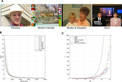 The disparity between optimal and practical Lagrangian multiplier estimation in video encoders